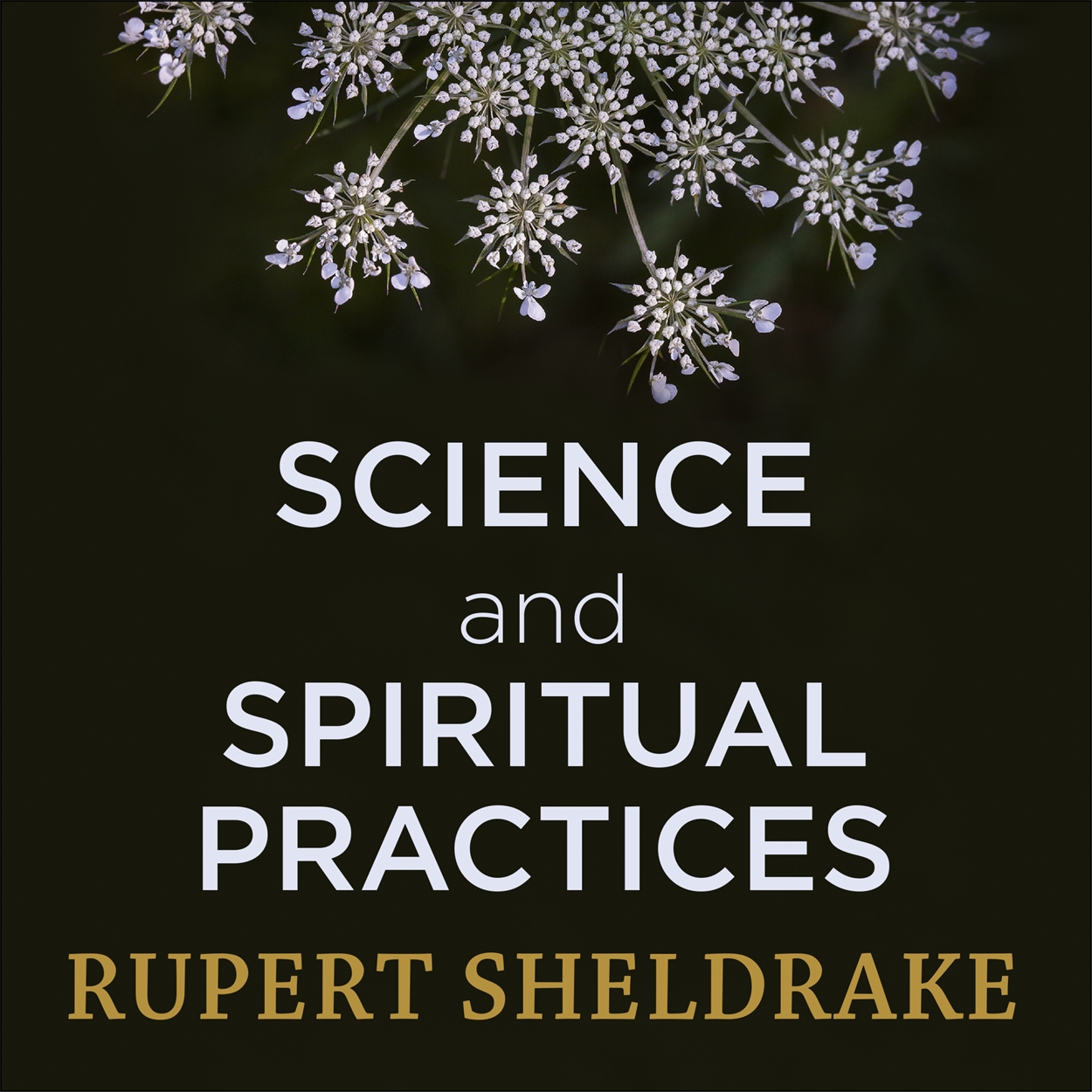 Sheldrake Reading Science and Spiritual Practices by Rupert Sheldrake | Hachette UK