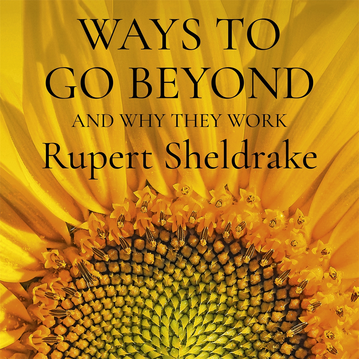 Ways to Go Beyond and Why They Work by Rupert Sheldrake | Hachette UK