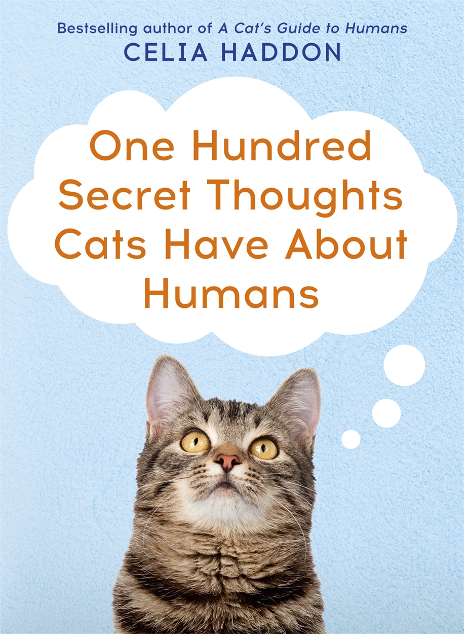 One Hundred Secret Thoughts Cats have about Humans by Celia Haddon |  Hachette UK